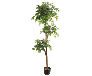 Dirbtinis augalas FICUS 2.20m